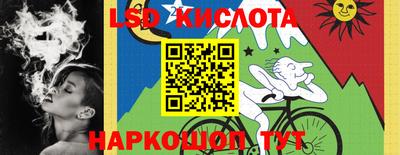 дживик Кимры